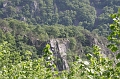 Resize of IMG_0947